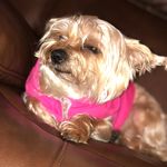 Lila Victoria Gallo - @lilavgallo_13 - Instagram