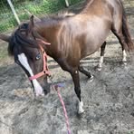 Lila Haney - Facebook
