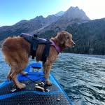Lila Lee - @riversup.pup - Instagram