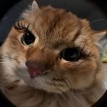 @lilaleewe - Instagram