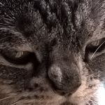 Sweet Bean Lila McGee - @sweetbeanlila - Instagram