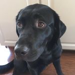 Lila R Meyer - @lila_thebestmeyer - Instagram