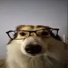 lila - @lilaolsonnn - TikTok