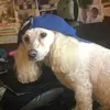 lilaortiz985 - @lilaortiz985 - TikTok