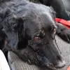 lilasandersphelps - @lilasandersphelps - TikTok