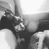 lila_phillips4 - @lila_phillips4 - TikTok