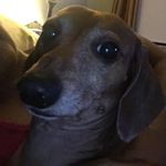Lila Phillips - @phillips_lila - Instagram