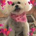 Lila Phillips - Facebook