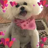 lilaphillips1848 - @lilaphillips1848 - TikTok