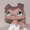 Lila Powell  - @lpscocotvcollie - TikTok