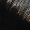 lilahraymond - @lilahraymond - TikTok
