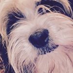 Lila - @lila_rogers_ - Instagram