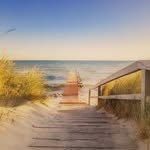 Lilia Schmidt - @lilaschmidt45 - Instagram
