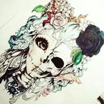 Lila - @_lila_snowy_owl_ - Instagram