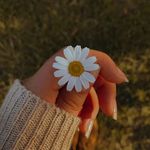 Lila Snow - @snwlila17 - Instagram