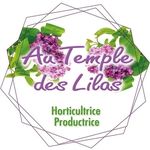 Au temple des Lilas - @au_temple_des_lilas - Instagram