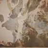 Lila Temple - @lila.temple8 - TikTok