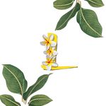 Тайський масаж Львів - @lilawadee_lviv - Instagram