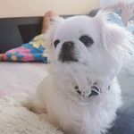 Amy Lilien - @lilawadee_thai - Instagram