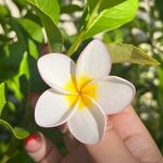 Lilawadetravel - @lilawadetravel - Instagram