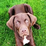 Lila Jane Wise - @lilajane_the_pointer - Instagram