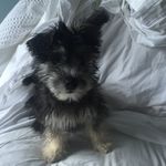 Lilah Smith - @lilah_smith_1 - Instagram