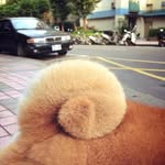 Lilan Chen - @lilanntust - Instagram
