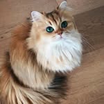 Lili Bacha - @lili.bacha.18 - Instagram