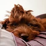 Lilibailey - @lilibailey07 - Instagram