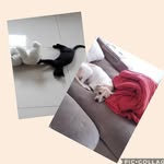 lili.bailey_ - @lili.bailey_ - Instagram