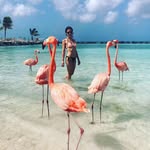 Lili Bauer - @lili.bauer.737 - Instagram