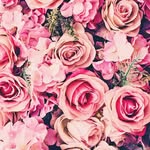 Lili Bauer - @lilibauer8463 - Instagram