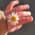 @lilibender0420e3 - Instagram