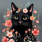 Lili Chan - Facebook