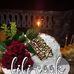 Lili Cook - Facebook