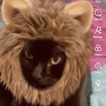 Lili Doyle - @lilidoyle2027 - Instagram