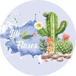 Lili Flores - @lilifloressuculentas - Instagram