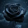 Lili Flores - @lili.flores8929 - TikTok