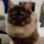 LiLi - @lili__gray - Instagram