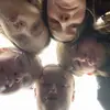 lili.gray12 - @lili.gray12 - TikTok
