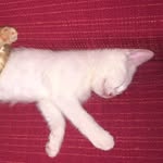 Lili Johnson - @lilijohnson1968 - Instagram