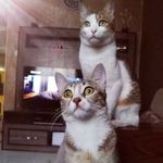 LiLi & LaLa - @lili_lady_2018 - Instagram