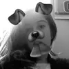LiliLambert12 - @lililambert12 - TikTok