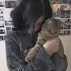 Lili - @lililang01 - TikTok