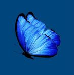 Lili Leon - Facebook