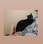 Lilli Lowe - Facebook