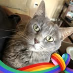 LiLi Lyons - Facebook
