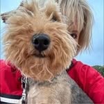 Lili Marsh - @lilibellemarsh - Instagram