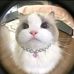 Lili Max - Facebook