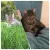 Lili_Max - @lili_max_ - TikTok